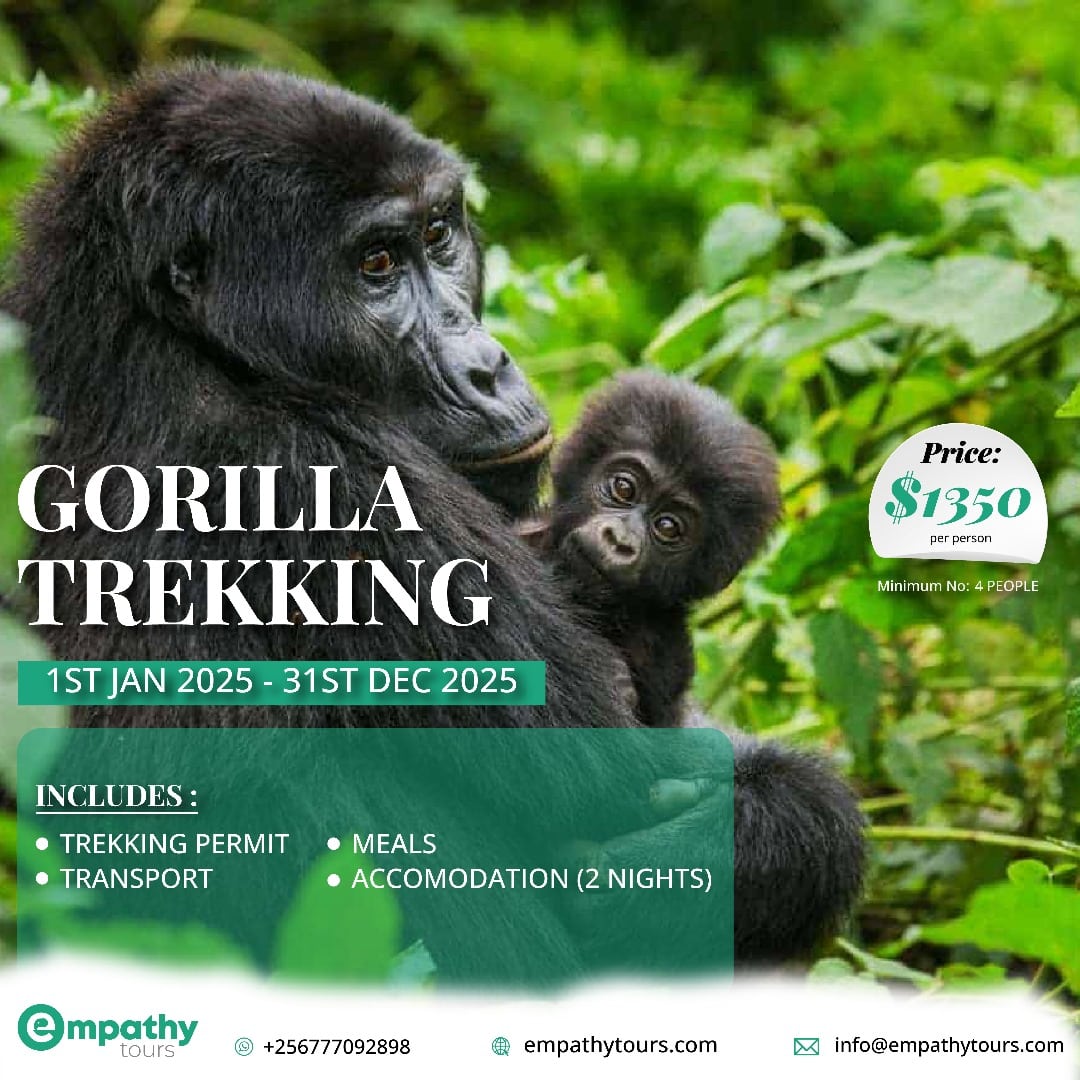 3 days gorilla trekking safari Uganda